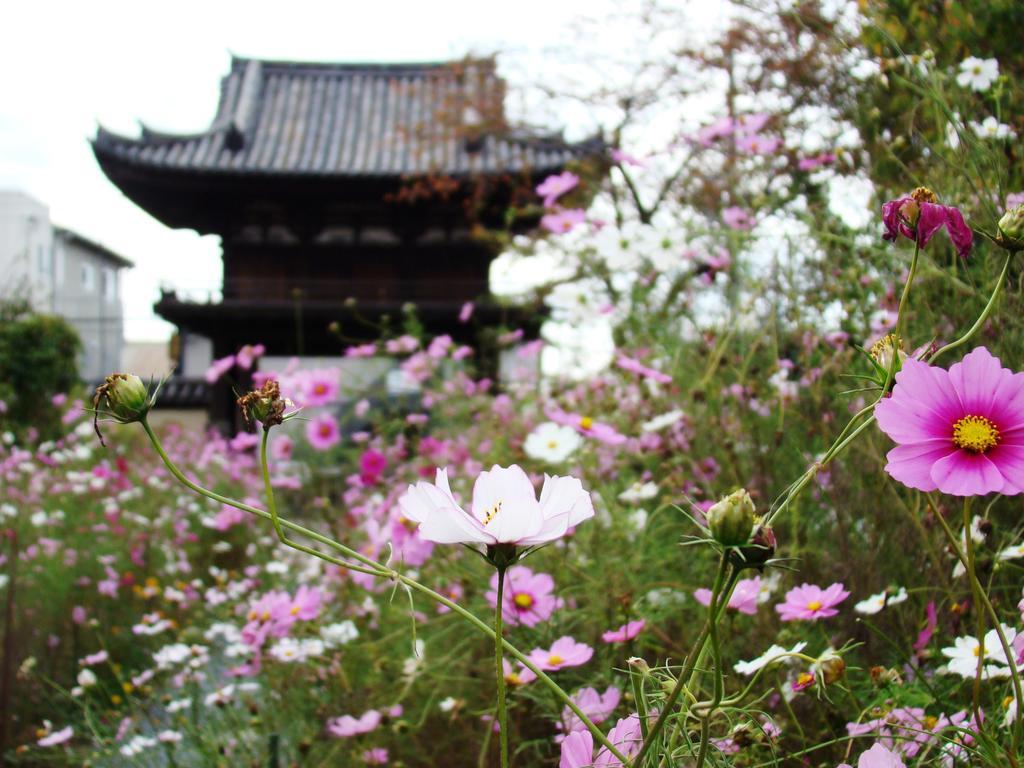 Yamabe Hotel Tenri Kültér fotó