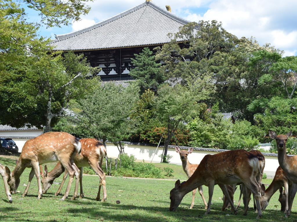 Yamabe Hotel Tenri Kültér fotó