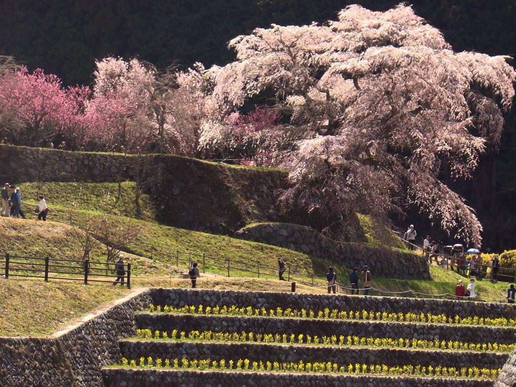 Yamabe Hotel Tenri Kültér fotó